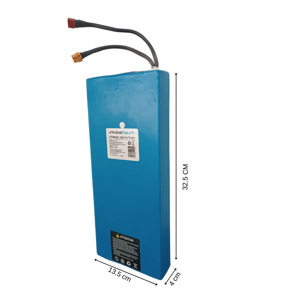 US Battery 48V 16Ah