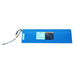 [AVANTSEE.Battery] AVANTSEE Batería [48V 13Ah]